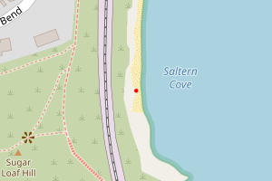 A map showing the Saltern Cove beach stretch plotted on it
