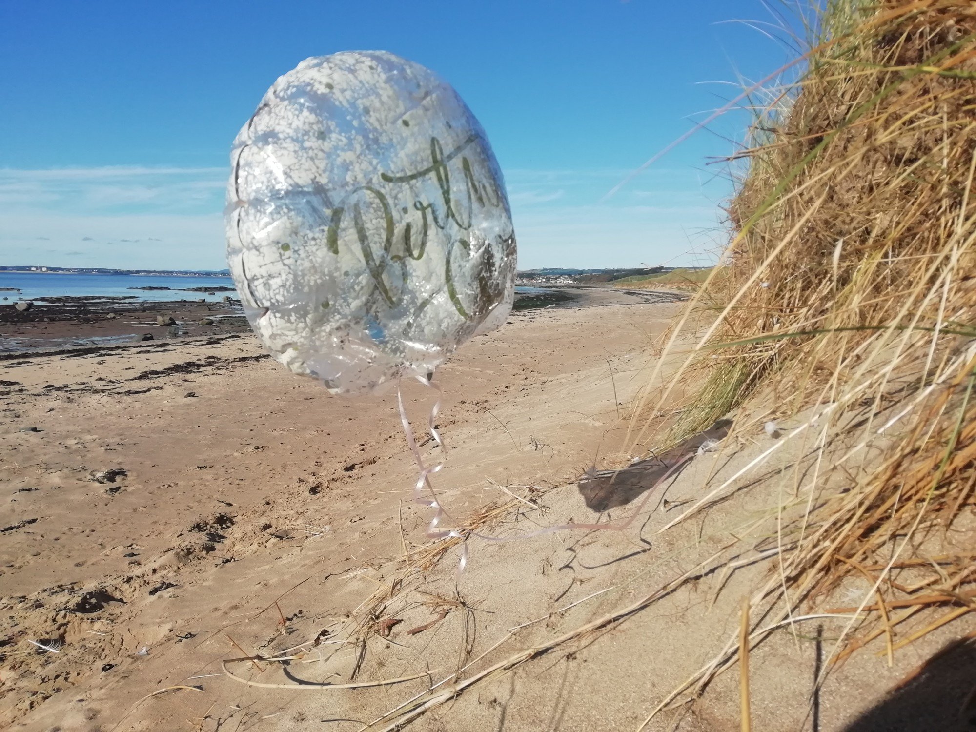 Balloon_RS32417_TaraProud.original.jpg