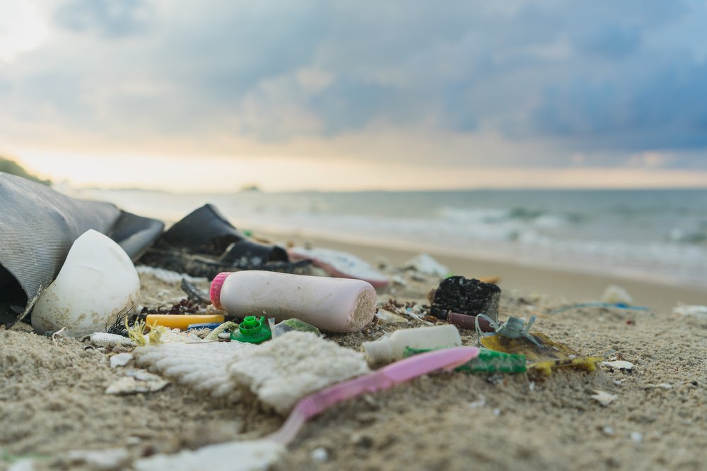 Litter_on_a_beach_Shutterstock.original.jpg