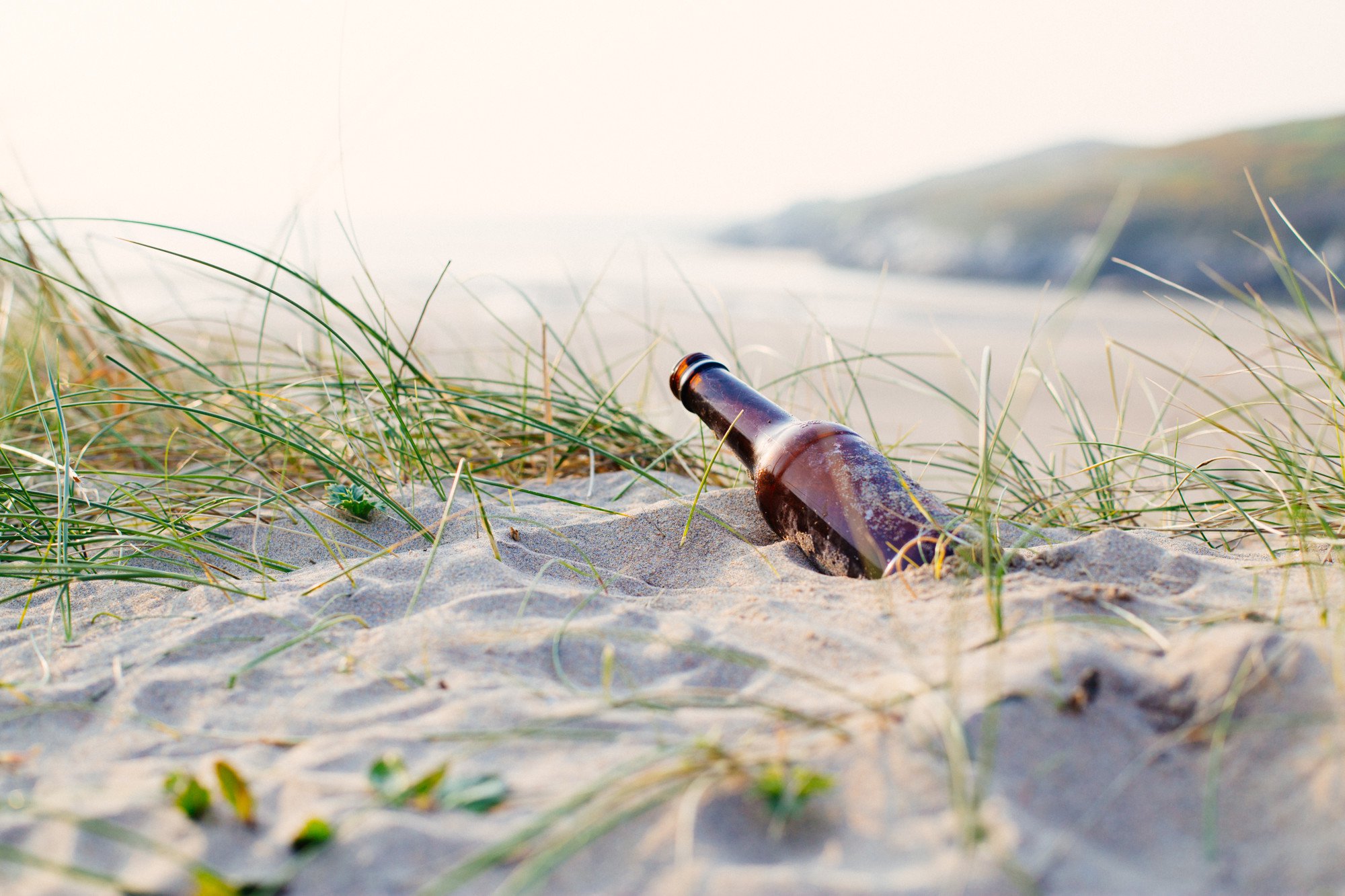 Beer_RS31204_NatashaEwins.original.jpg