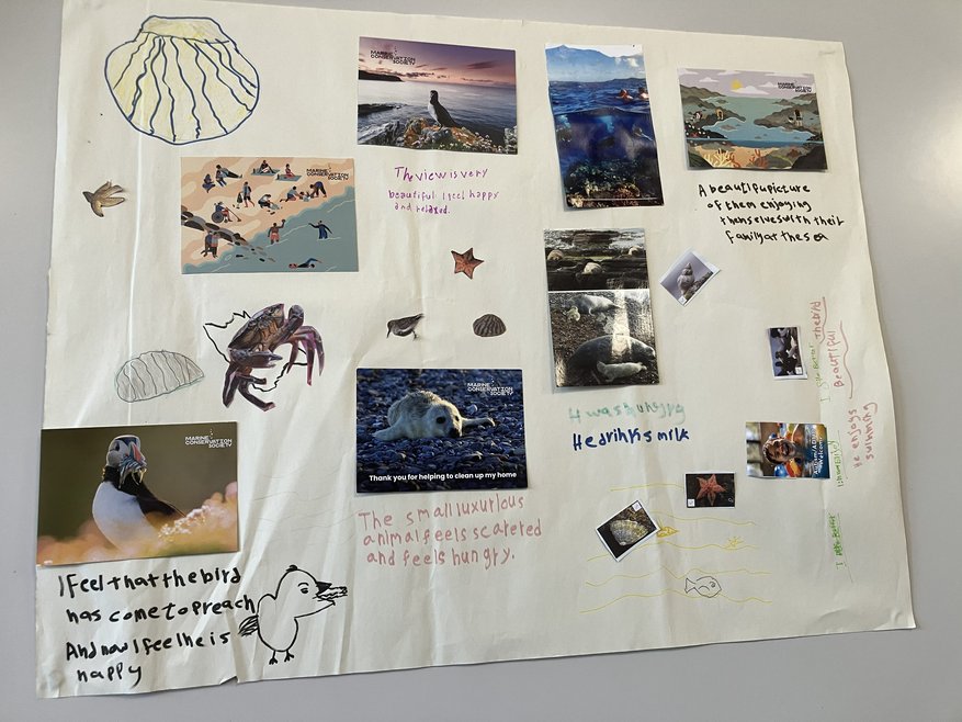 A handmade A3 poster made at an event. It is made from cutouts of animals and statements about the animals and how they feel.