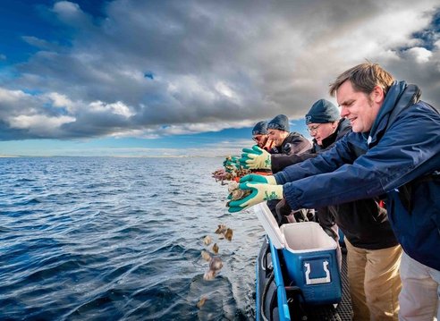 Volunteers and staff members from the DEEP project (Dornoch Environmental Enhancement Project) scatter native oysters from a boat.