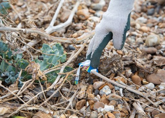 a volunteer taking part in a beach clean-up