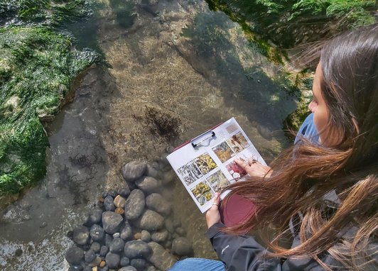 A person with long brown hair, wearing a black jacket and blue jeans, is kneeling by a rocky shore and looking at a guide book for identifying seaweed