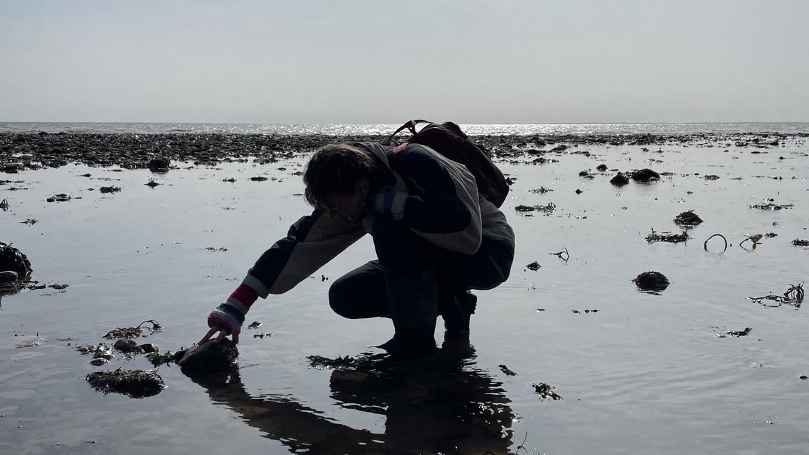 A silhouette of someone rockpooling. The sun is reflecting off the water around them.