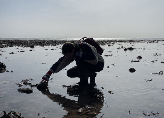 A silhouette of someone rockpooling. The sun is reflecting off the water around them.