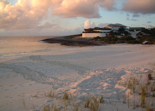 A sandy beach in Anguilla