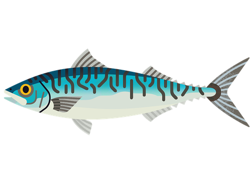 Mackerel M 960.png