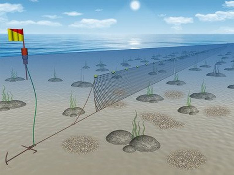 Fishing methods explained | Marine Conservation Society