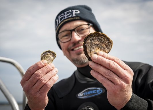 Professor Bill Sanderson, Lead scientist, Heriot-Watt University showing oyster growth by holding up European oysters from a boat. He is wearing a dry suit.