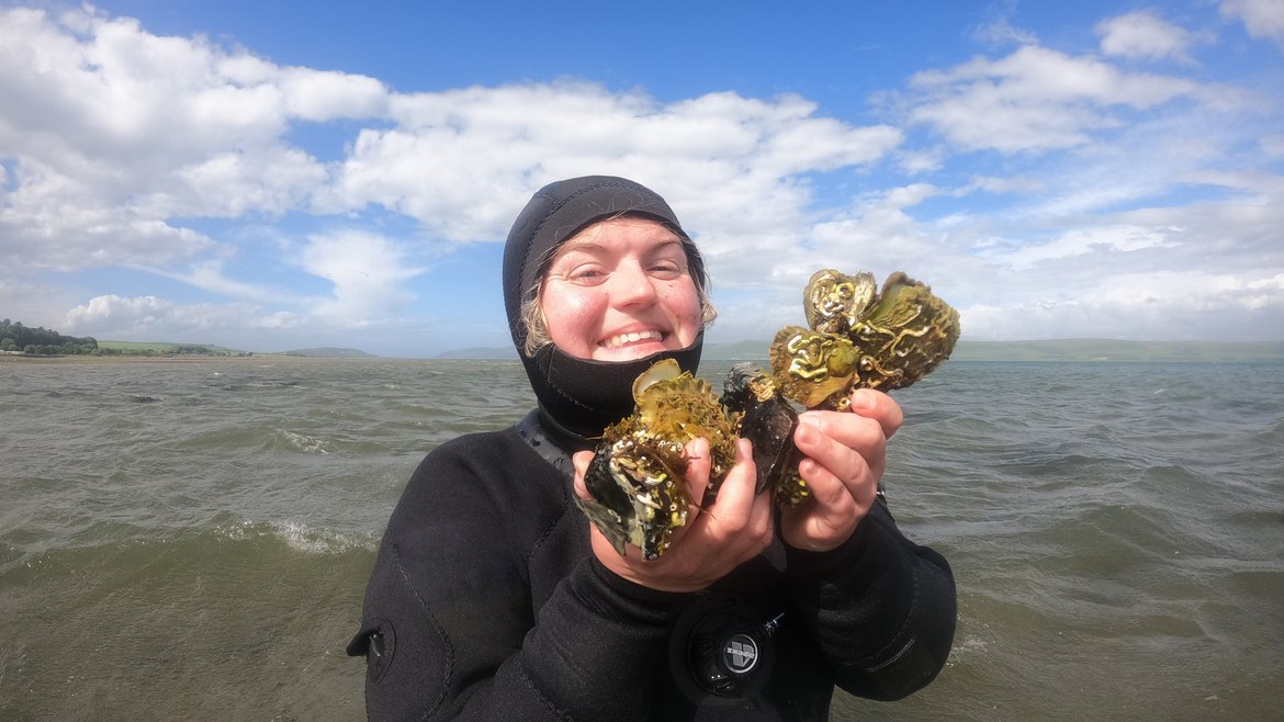 Shellfish Restoration Officer Emmy Young smiles at the camera from the water. She is wearing a full dry suit with just her face showing and is holding a clutch of oysters.