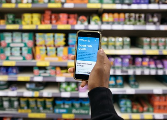 A hand holding up a phone with Marine Conservation Society's Good Fish Guide app on the screen. In the background is a blurred supermarket shelf filled with food products.