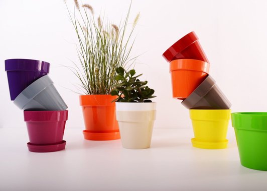 A group of differently coloured plastic plant pots. An orangle pot has a plant growing within it.