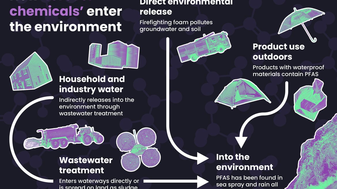 An infographic showing how PFAS enter the environment. Wording says: Direct environmental release - firefighting foam pollutes groundwater and soil. Product use outdoors - products with waterproof materials contain PFAS.