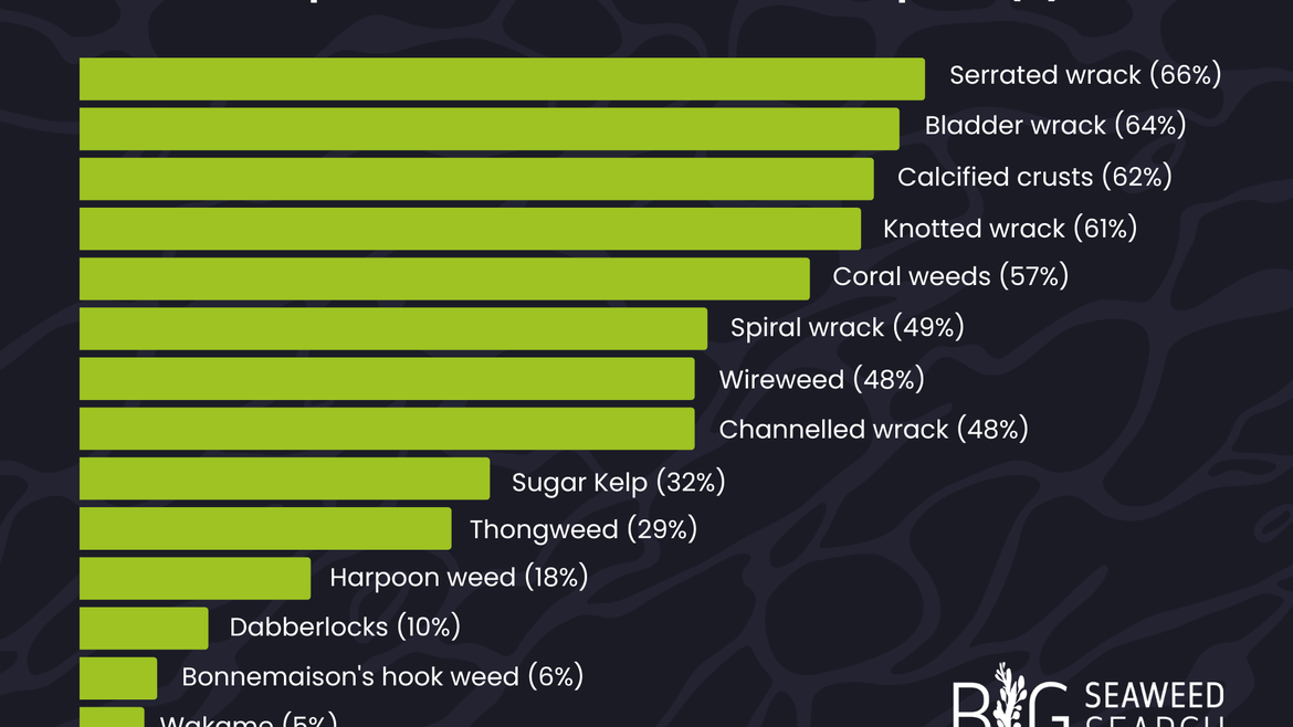 A bar graph titled 'Graph 1: Correct identifications for each species (%)' showing the percentage of correct identifications for 14 different seaweed species.