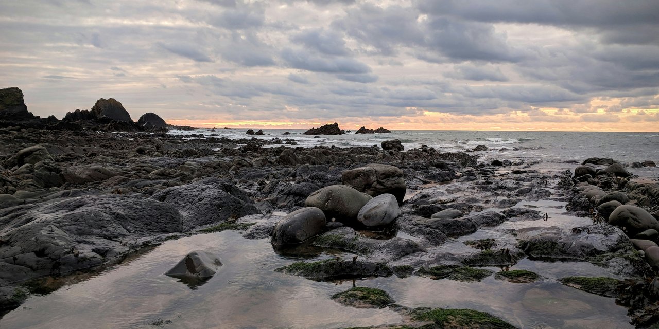 Rockpooling | Marine Conservation Society