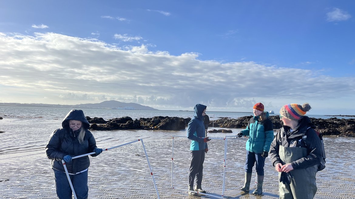 A group of 4 adults stand on a beach on a winter's day. They're holding portable fencing. The sky is bright blue.