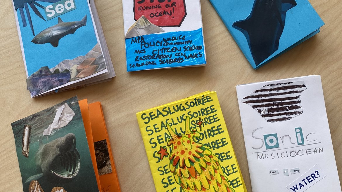Six colourful zine front covers with different animals on them including a basking shark and a sea slug