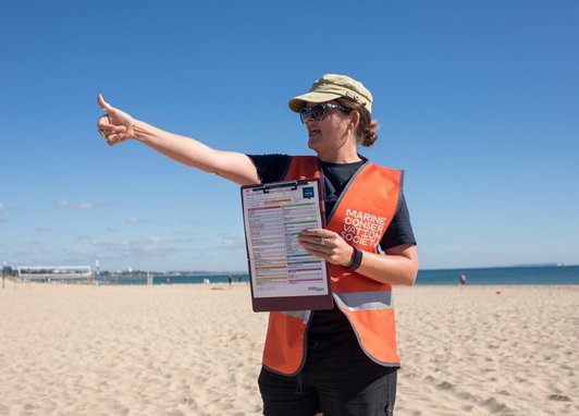 A woman with a hat and sunglasses standing on a beach. She is pointing to the left while holding a survey form for others to see. She is wearing a bright orange safety vest with a Marine Conservation society logo on it.