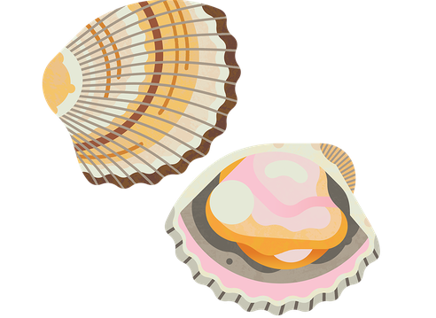 Cockle M 960.png