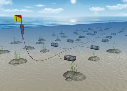A large number of containers made out of wire and nylon are picture underwater, close to the seabed