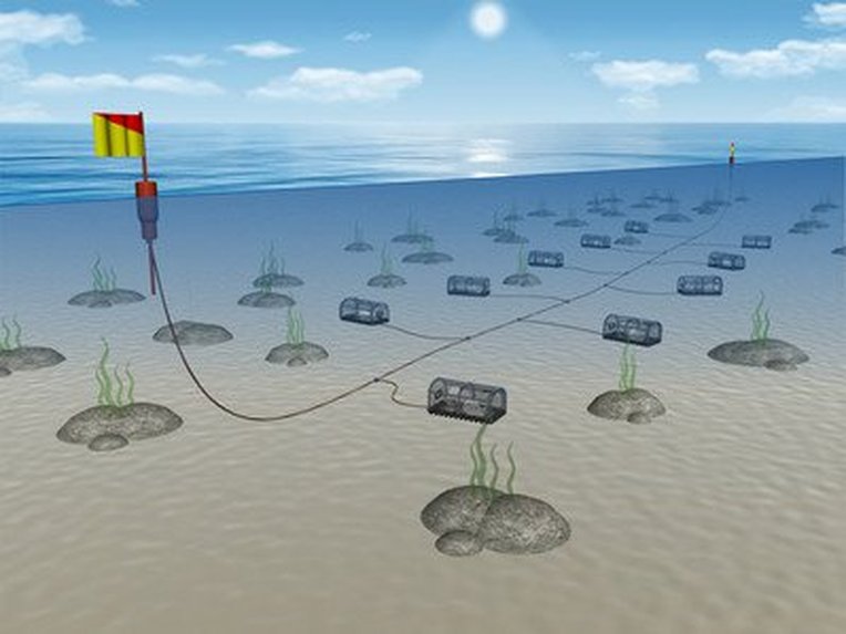 Fishing methods explained | Marine Conservation Society