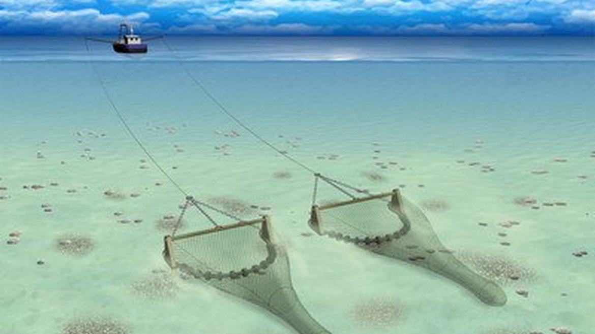 A boat is towing a net over the seabed. The net is held open by a heavy beam.