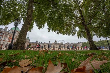Runners are pictured running through a London Park as part of the Royal Parks half marathon. The London Eye can be seen in the background.