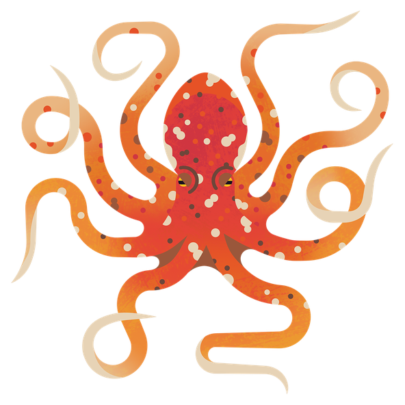 Octopus Lesser M 960.png