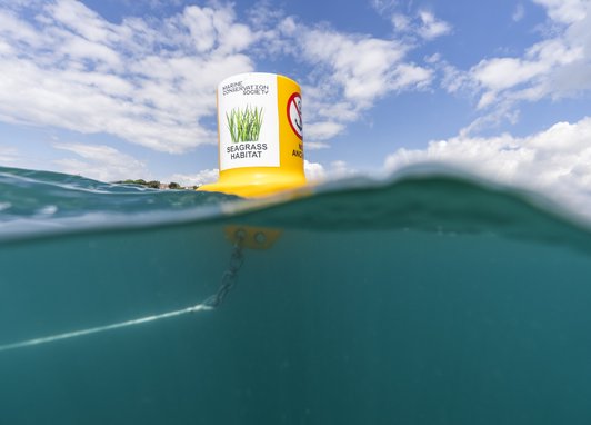 A yellow buoy with 'no anchoring, seagrass restoration' written on it defends a protected seabed area. The project was in collaboration with Salcombe Gin.