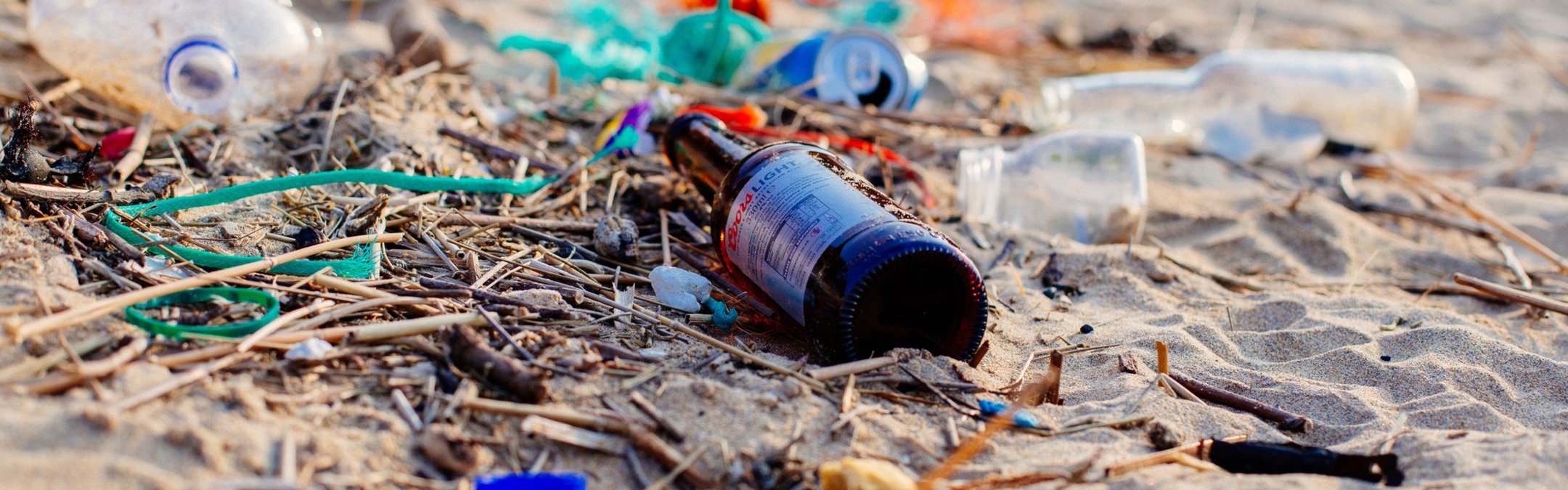Litter_RS31197_NatashaEwins.original.jpg