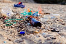 Litter_RS31197_NatashaEwins.original.jpg