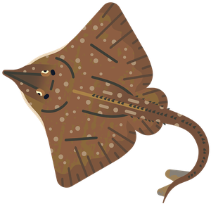 Flapper skate