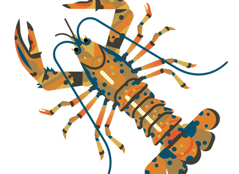 Lobster American M 960.png