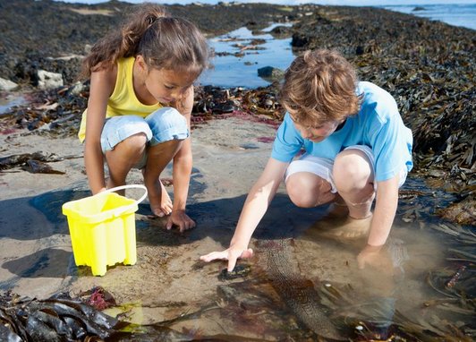 2 children engaging in an educational coastal activity known as rock pooling. The gil has a yellow bucket next to her.