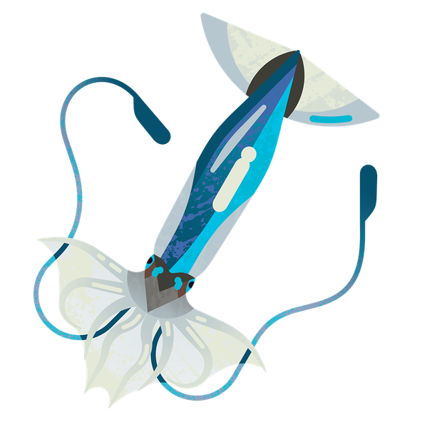 Squid Japanese Flying M 960.png