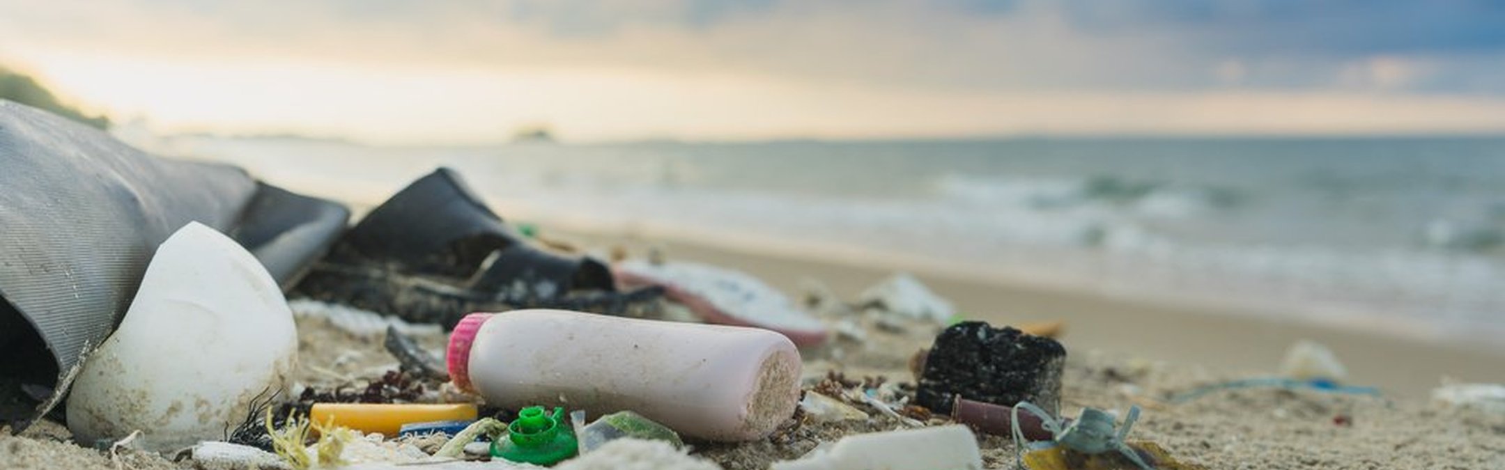 Litter_on_a_beach_Shutterstock.original.jpg