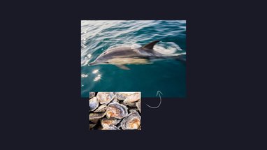 A common dolphin is pictured breaking through the surface of the water. Below it is a cut-out photograph of a native oyster.
