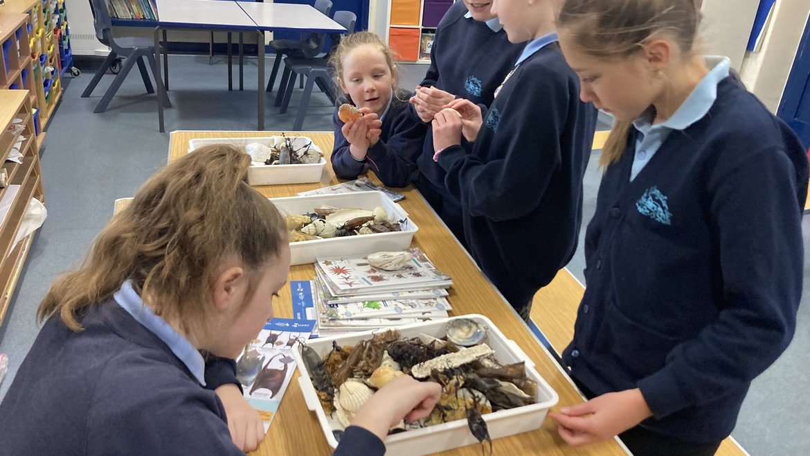 A group of school children in a classroom taking part in the Natur Am Byth project by looking at objects in a white tray