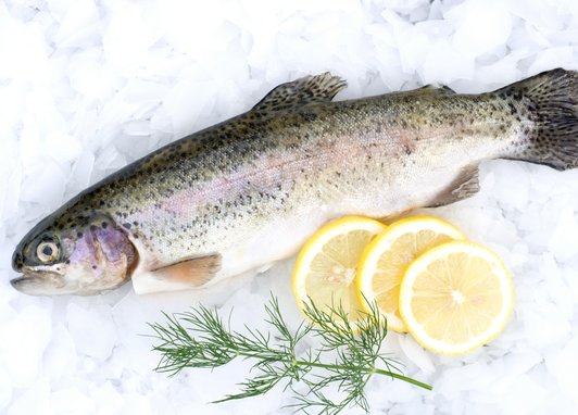 A brown trout is laid on a bed of ice, with two lemon slices next to it and some green foliage