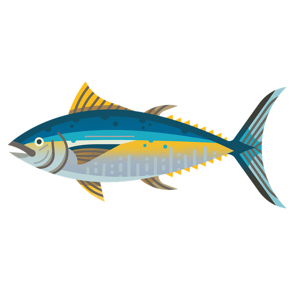 Tuna Atlantic M 960.png