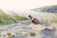 Beer_RS31204_NatashaEwins.original.jpg