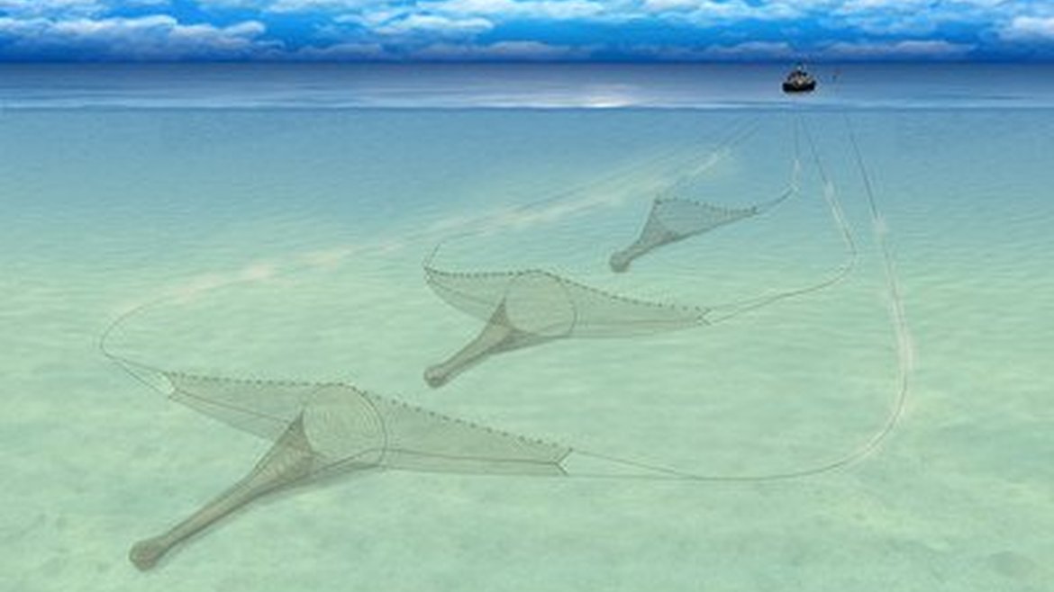 A boat has placed a net on the seabed and is slowly closing it. As ropes move over the seabed to close the net, they herd fish into it.