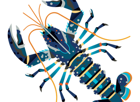 Lobster European M 960.png
