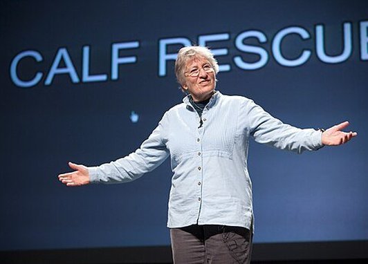 Katy Payne standing in front of a large screen with her arms stretched out . She appears to be presenting to an audience behind the photo. The screen reads 'CALF RESCUE'