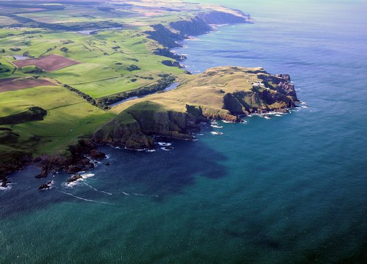 Berwickshire marine reserve