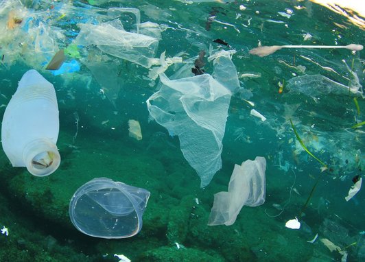 Different types of plastic including bags, cups and straws are pictured under the ocean, highlighting the plastic pollution problem