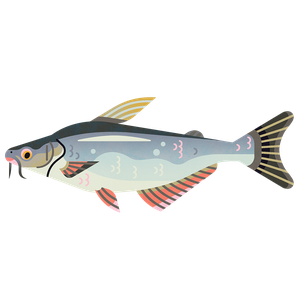 Basa