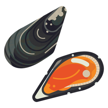 Mussel Chilean M 960.png