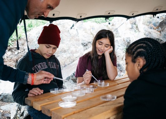 Young adults taking part in plankton sampling